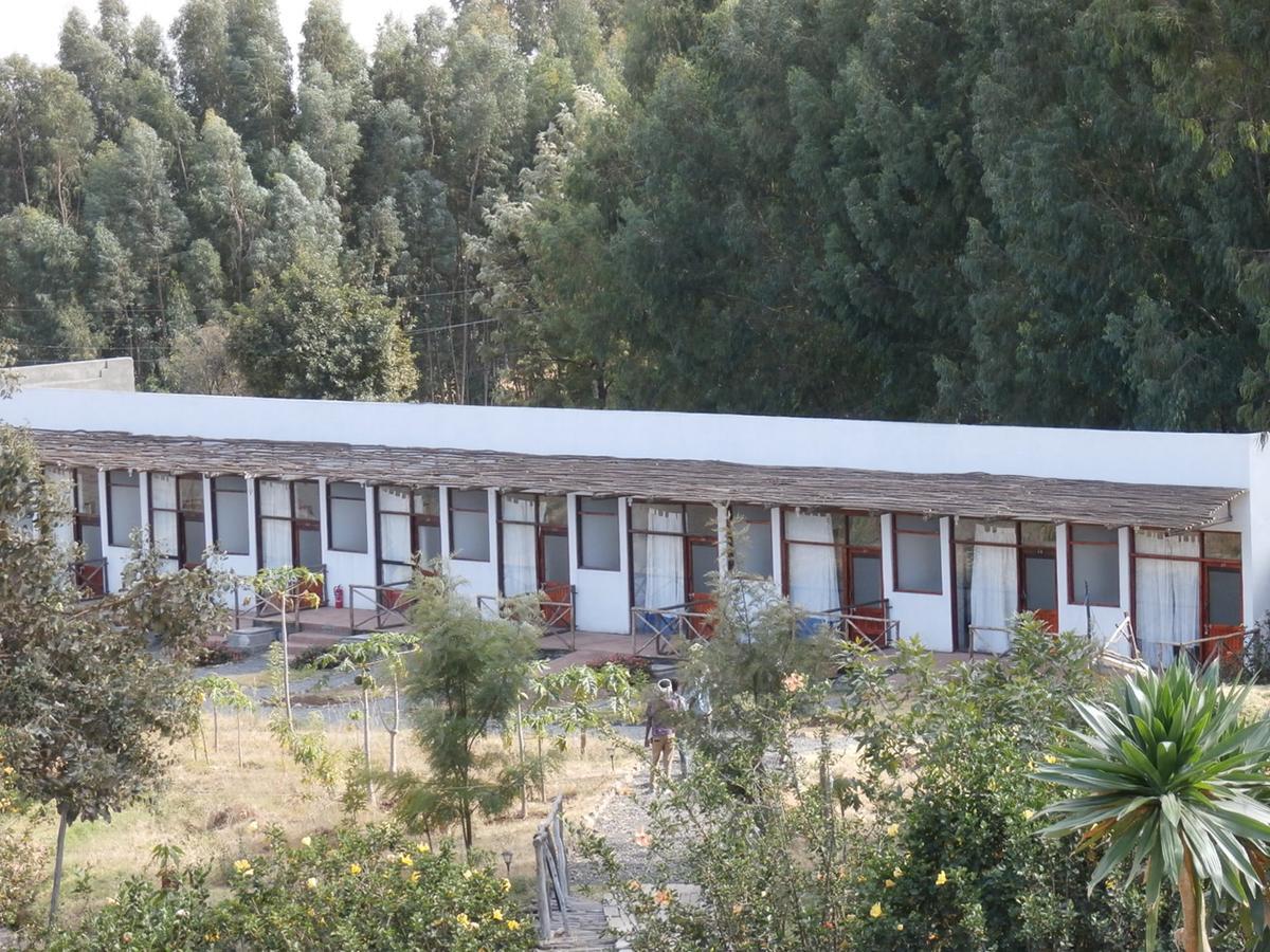 Mayleko Lodge Gondar Exterior foto