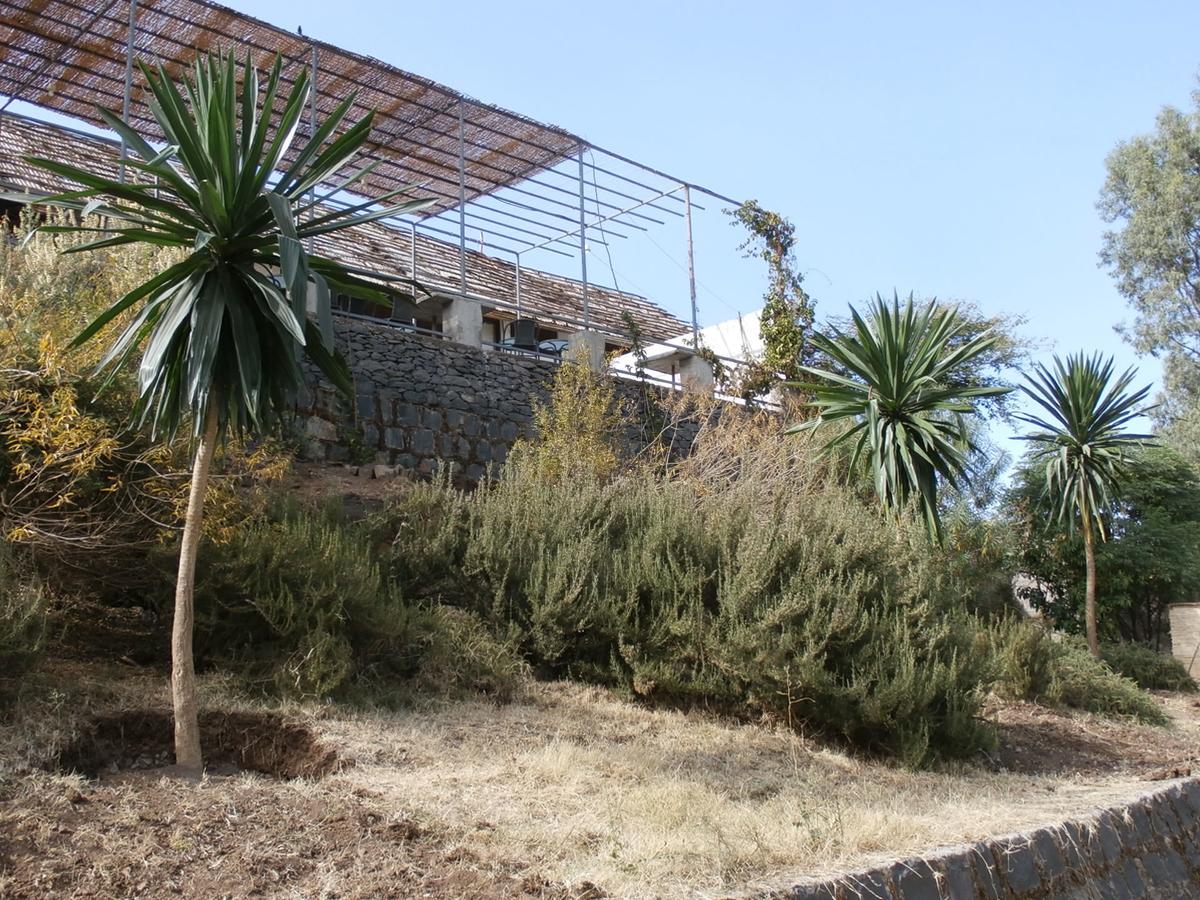 Mayleko Lodge Gondar Exterior foto