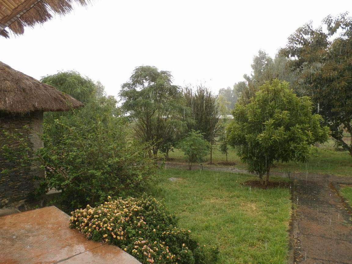 Mayleko Lodge Gondar Exterior foto